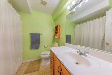 Fototapeta na wymiar Bathroom interior with light green walls and white shower curtain