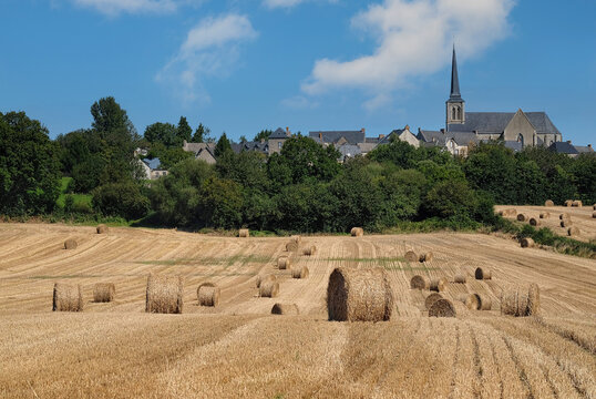 champs de c&eacute;r&eacute;ales moissonn&eacute; devant un village Mayennais