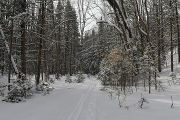 Mont Singer Ruiter Vallée 5 Février 2022