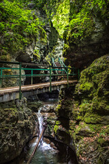 Fototapeta na wymiar Zagreb, Croatia - June 2021. Nature Park Canyon Devil's Passage
