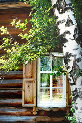 Rural scene. Blurred, focus on tree. Russian village house, facade of an old wooden summerhouse in the countryside