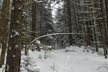 Fototapeta premium Mont Singer Ruiter Vallée 5 Février 2022