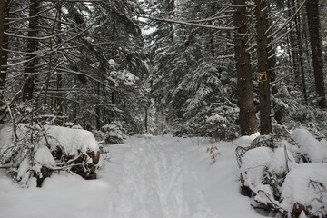 Mont Singer Ruiter Vallée 5 Février 2022