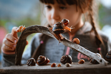 Little girl intently watching small snail crawling along wooden bench while spending time in nature