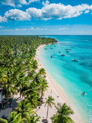 Aerial view of Saona Island in Dominican Republuc. Caribbean Sea with clear blue water and green palms. Tropical beach. The best beach in the world. - obrazy, fototapety, plakaty