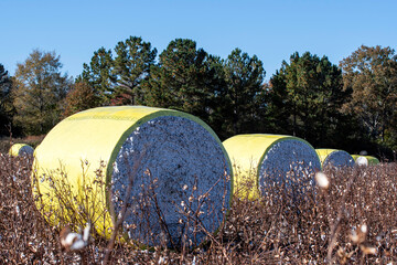 Cotton bales close up