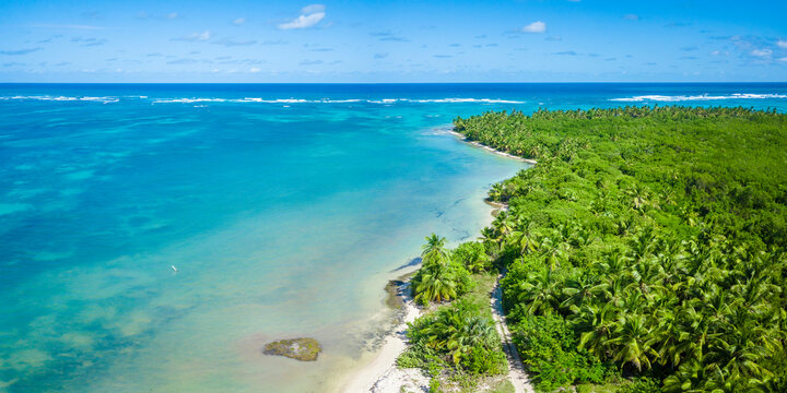 Aerial view of beautiful Bavaro beach in Punta Cana, Domincan republc. Hot sunny day on tropical beach full of palms.