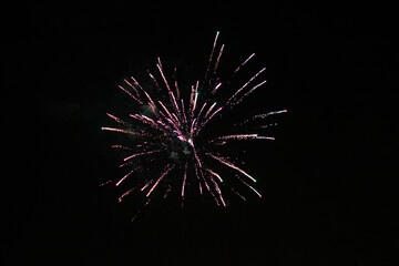 Firework burst with black background.