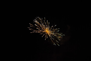 Firework burst with black background.
