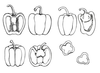 Isolated bell pepper. Pepper hand drawn vector set. Vegetable engraved object style, full, half and slices. Detailed vegetarian food drawings. Product on the agricultural market. paprika icon