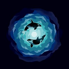 Two killer whales in the water