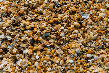 pebbles on the beach