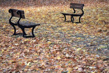 Fototapeta na wymiar Two benches in the park