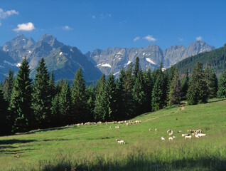 Rusinowa Polana and the Tatra (Tatry) Mountains, Poland © Maciej