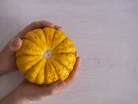 Top view of hands holding a squash on a rustic white background