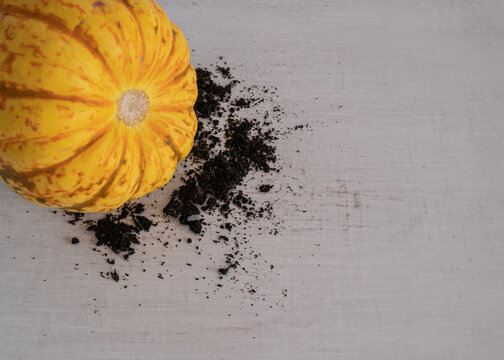 Top view of a Squash on a rustic white background with garden soil
