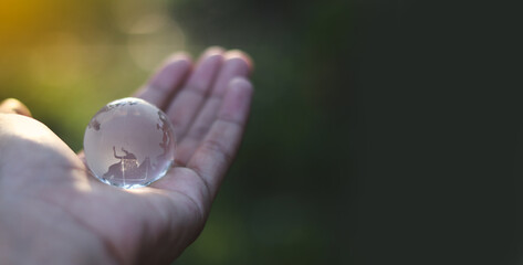 Earth crystal glass globe ball and growing tree in human hand, flying yellow butterfly on green sunny background. Saving environment, save clean planet, ecology concept.