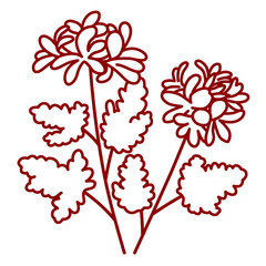 ローズゼラニウムのベクターイラスト素材。