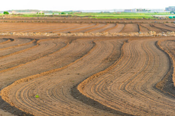 plowed field in spring