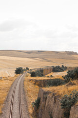 South Italy in summer. Apulian landscape near Spinazzola, Alta Murgia