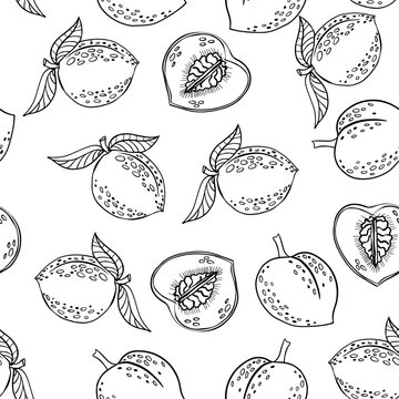 Peaches seamless pattern, sketch style fruits. Hand drawn vector illustration. 
