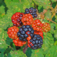 Blackberries