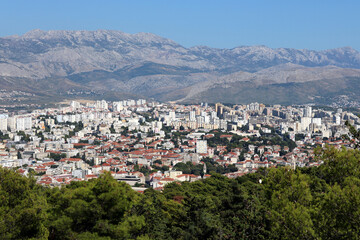 Obraz premium flock of sheep