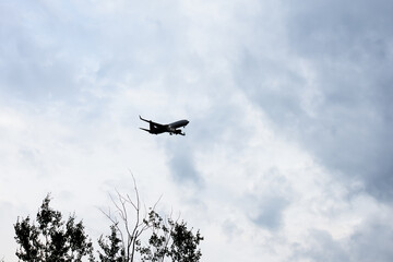 Fototapeta na wymiar Plane flying in cloudy sky above tree branches
