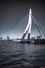 Obraz premium A bridge called the erasmus bridge over a river in the city of Rotterdam in black and white