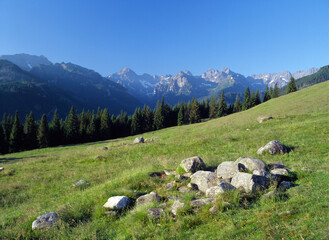 Rusinowa Polana and the Tatra (Tatry) Mountains, Poland © Maciej