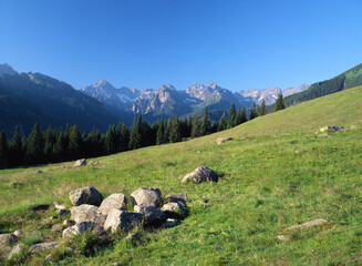 Rusinowa Polana and the Tatra (Tatry) Mountains, Poland © Maciej
