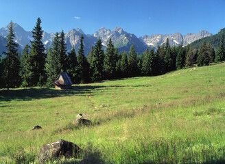 Rusinowa Polana and the Tatra (Tatry) Mountains, Poland © Maciej