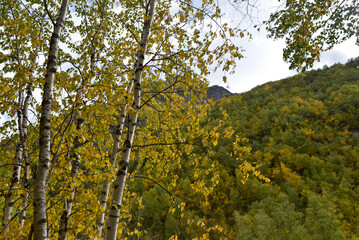 Fototapeta premium Caucasus Mountains in September