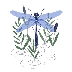 dragonfly over water with reeds, circles on the water, hand-drawn, isolated on a white background. - obrazy, fototapety, plakaty
