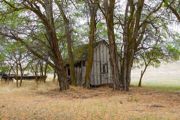 Fototapeta premium Old cabin front, Antelope, Oregon, USA