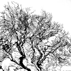 black and white tree