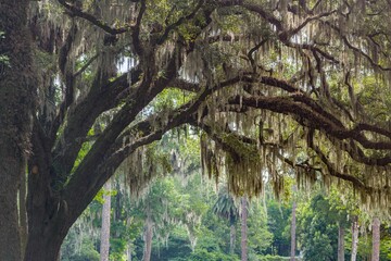 Naklejka premium creative