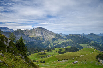 Fototapeta premium landscape in summer