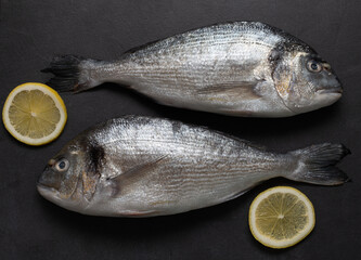 fresh fish