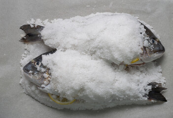 fish in salt