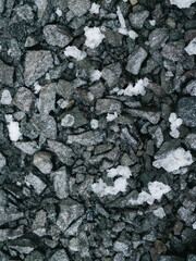 Frost on rocks at shoreline. West Iceland.