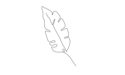 One line draws a leaf. Modern minimalist art, aesthetic contours. Portrait of an abstract leaf in a minimalist style. Continuous line vector illustration