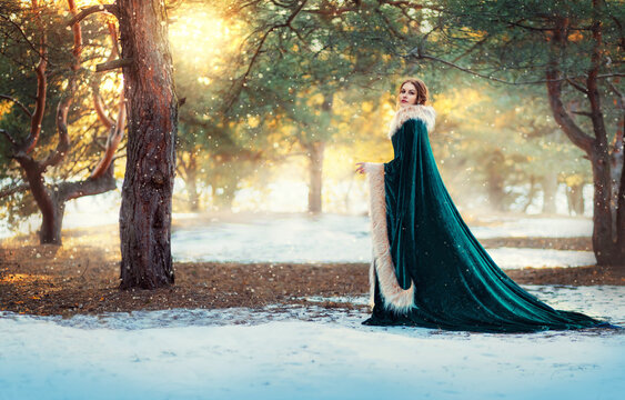 Fantasy queen woman walking in winter forest dressed in warm vintage velvet coat cape with fur long medieval clothes. Old style dress. Elf princess girl. Background pine trees, sun flare, falling snow