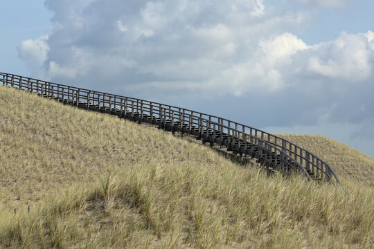 Petten Bilder Durchsuchen 511 Archivfotos, und Videos