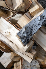 a pile of freshly chopped firewood lies