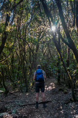 Wanderurlaub auf LA GOMERA, Kanarische Inseln: Mann bei Wanderung im mystischen Lorbeerwald,...