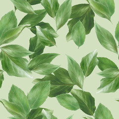 Pattern with green apricot leaves, on a green background, watercolor illustration