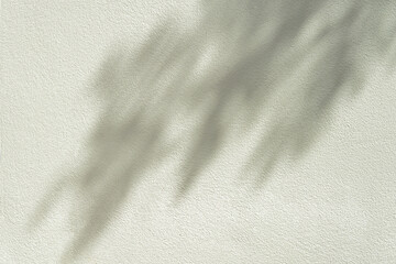 trees branch with shadow on concrete wall                