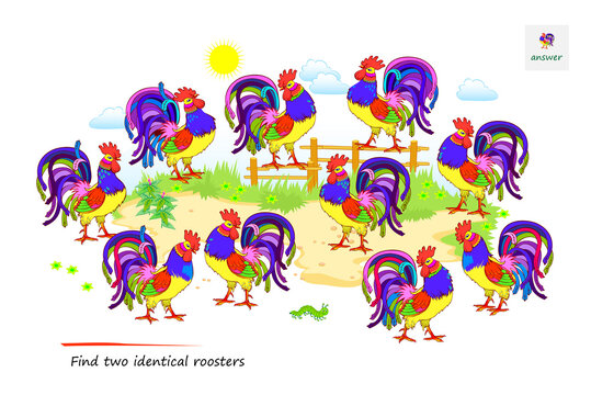 Logic puzzle game for children and adults. Find two identical roosters. Page for kids brain teaser book. Memory exercises for seniors. Task for attentiveness. IQ test. Play online. Vector image.