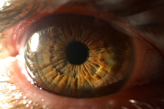 Human eye detail closeup. Macro photography of brown eyes closeup
